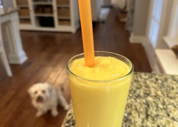 Mango Bliss Smoothie