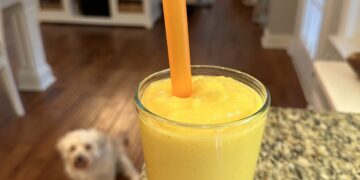 Mango Bliss Smoothie